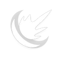 Slam skill icon