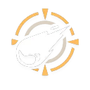 Holy Orb skill icon