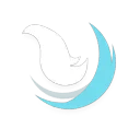 Ice Dash skill icon