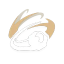 Drift Up skill icon