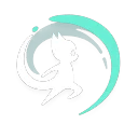 Flip skill icon